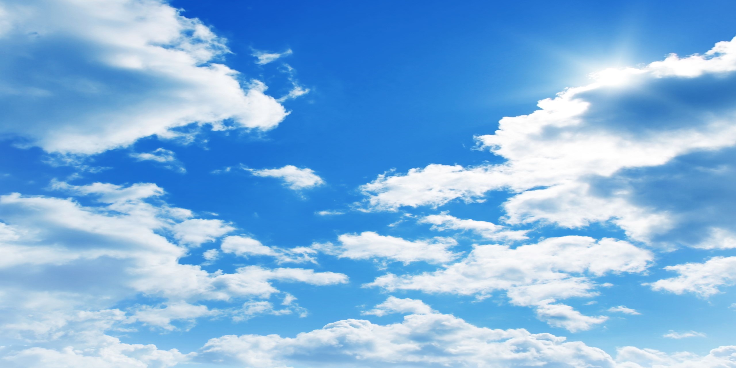 The Cost of the Cloud: Is it Worth it?