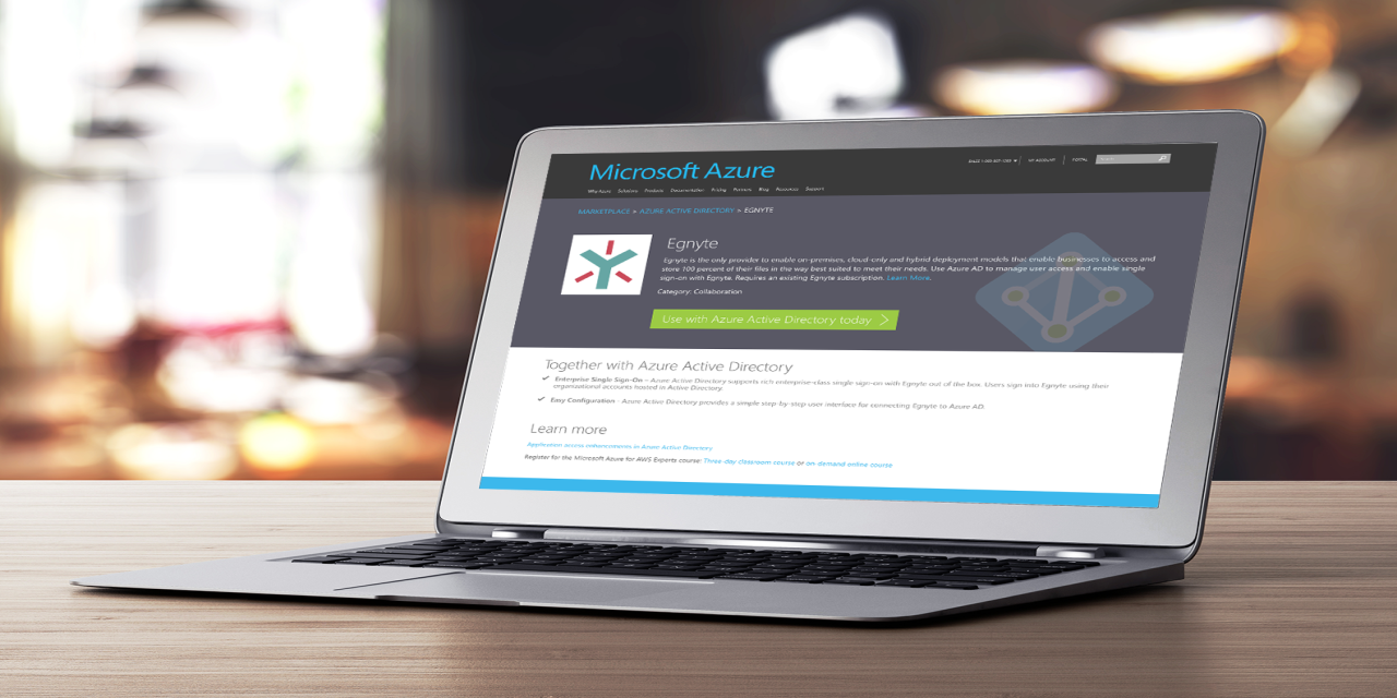Egnyte Debuts in Azure Marketplace
