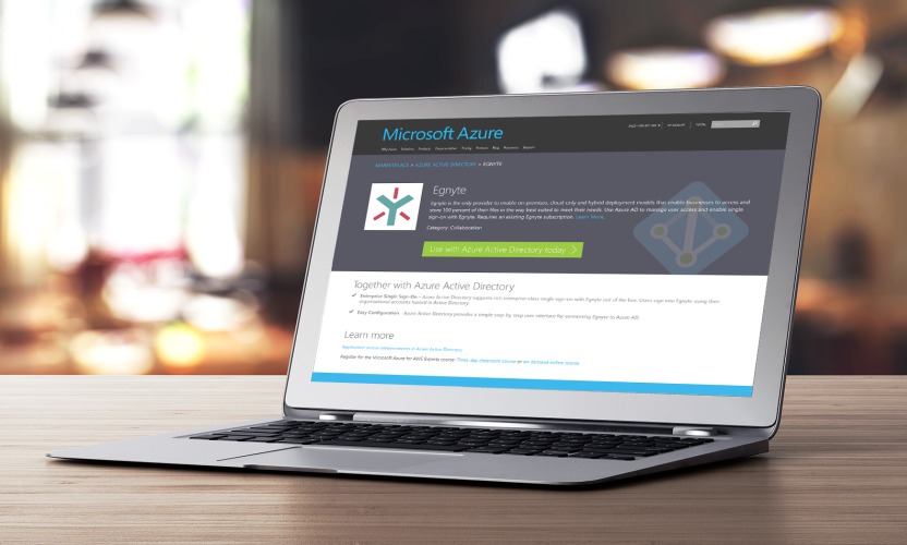 Egnyte Debuts in Azure Marketplace